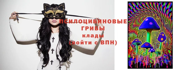дурь Володарск
