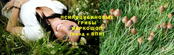 дурь Володарск