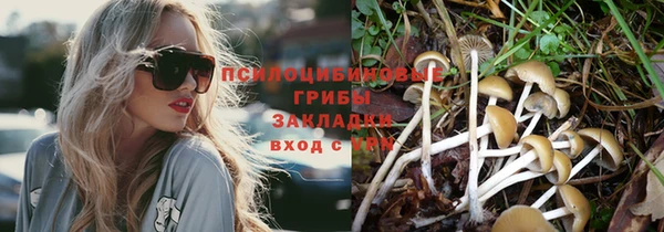 дурь Володарск