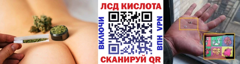 Наркотические марки 1,8мг  blacksprut вход  Кострома  как найти наркотики 